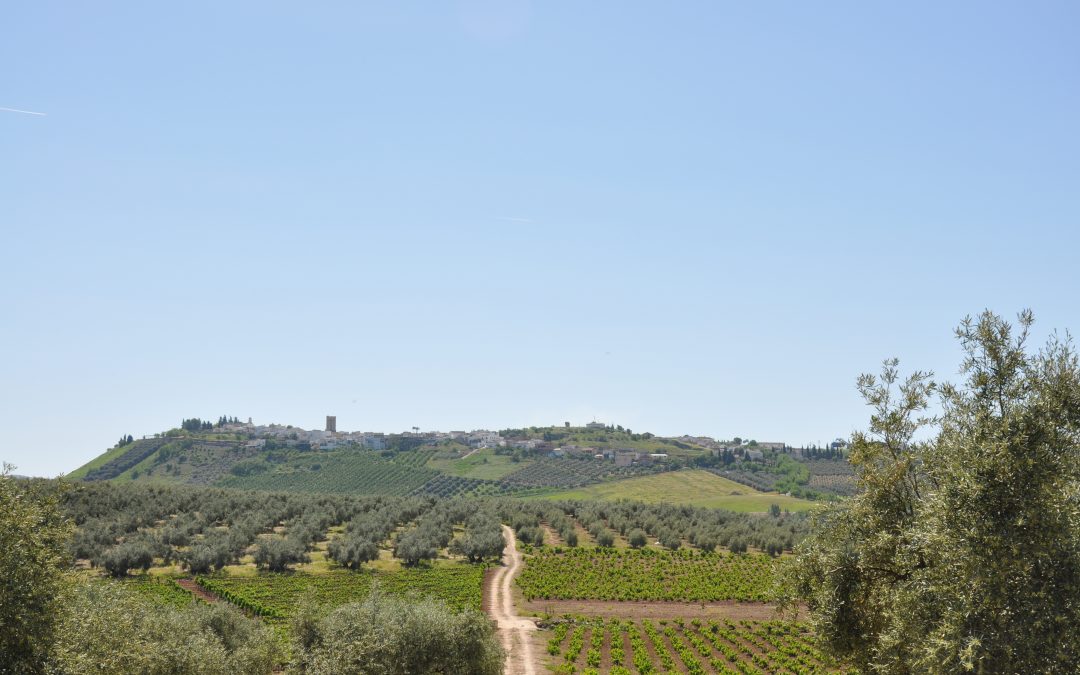 ¿Cuál es el verdadero centro geográfico de Andalucía?