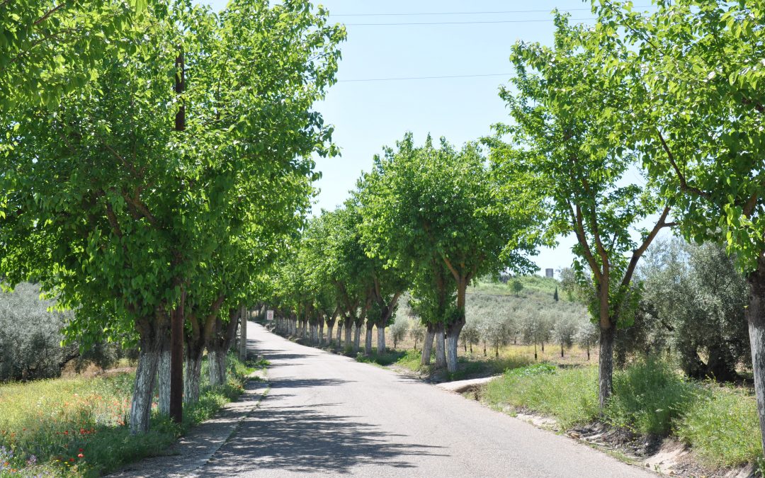 Nuestros rincones naturales