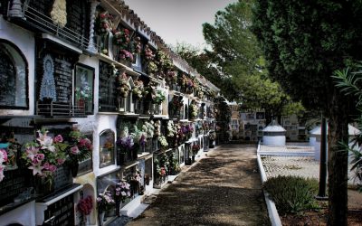 Conferencia Innovación Cultural «Enigmas y tradiciones funerarias». Incluye experimentación